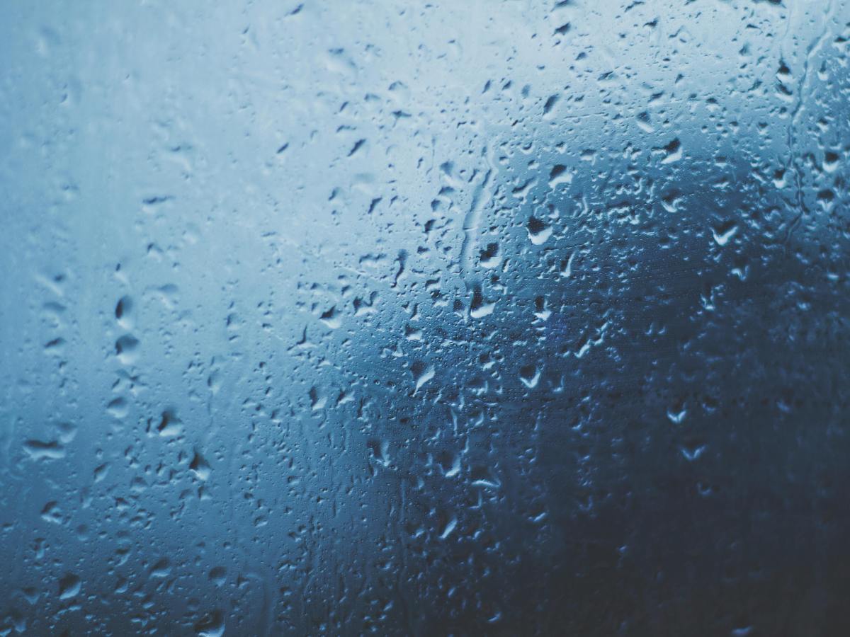 Why Sad Stories&nbsp;Matter